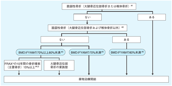 2011年骨粗鬆症の予防と治療ガイドラインより抜粋