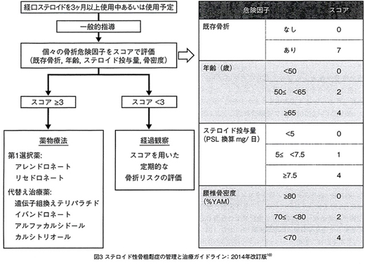 ガイドライン